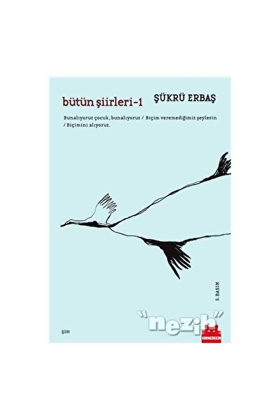 Kırmızı Kedi Yayınları Bütün Şiirleri 1