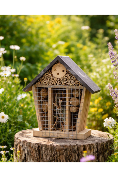 Greenmall Amber Böcek Oteli