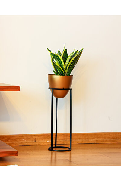 Genel Markalar Summus Metal Ayaklı Saksı Orta Bronz