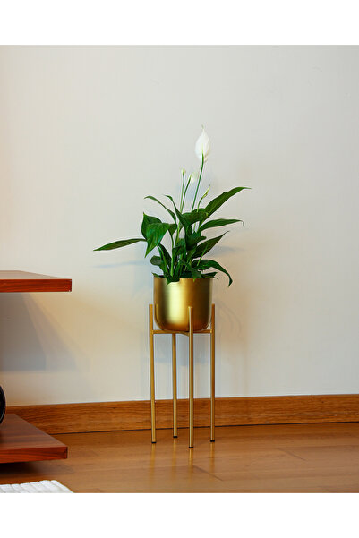Decor Impex Ayaklı Metal Saksı Küçük Boy