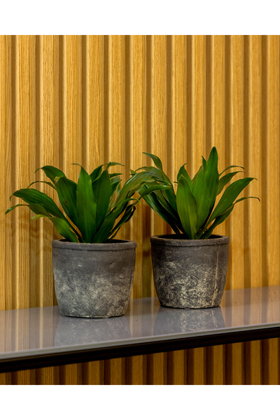 Greenmall Olven Saksı Antrasit 2'li Set