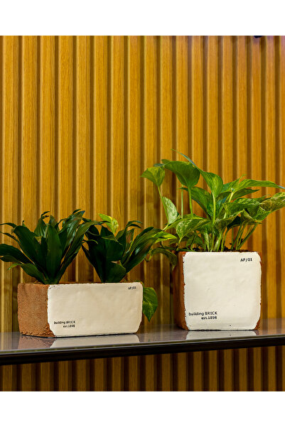 Greenmall Sirona Saksı 3'lü Set