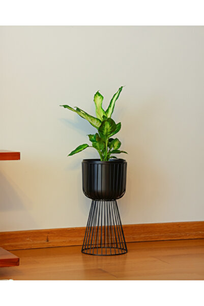 Genel Markalar Gloria Siyah Metal Ayaklı Saksı Siyah