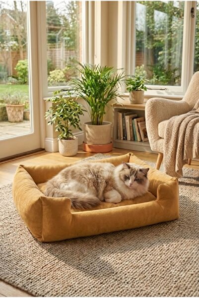 PUGALO Soho Ultra Yumuşak Kedi ve Köpek Yatağı Elyaf Dolgu