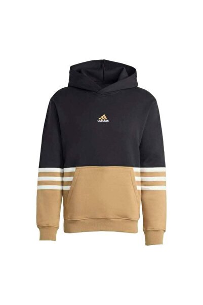 adidas Hanorace pentru bărbați cu glugă ARCHIVE HOODIE JY2797