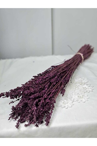 Birlik Lavanta Çiçeği Bordo Şoklanmış