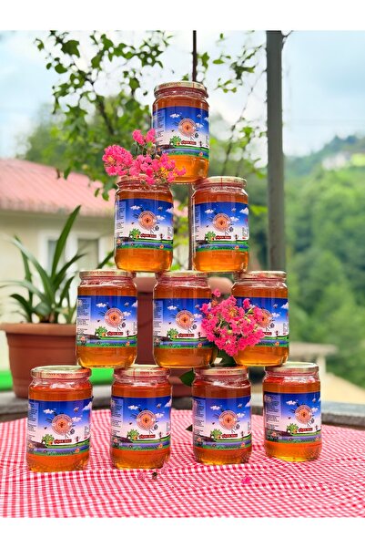 AŞIKLAR VADİSİ BAL Organik Erzurum Çiçek Balı 900GR