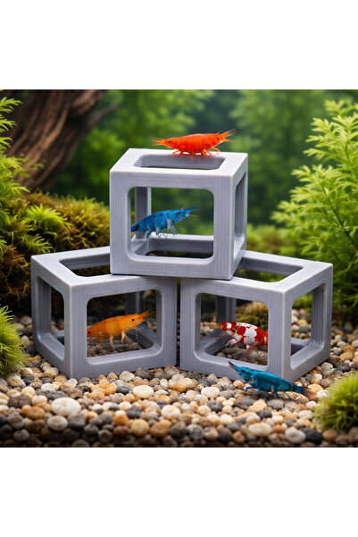 barsdepo KÜP KARİDES MAĞARASI 3'LÜ