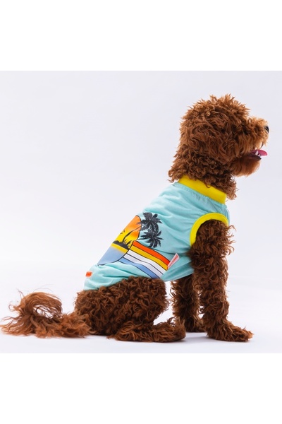 BODRUM PET تي شيرت مينت صن رايز مقاس XXL 38X43X58 سم