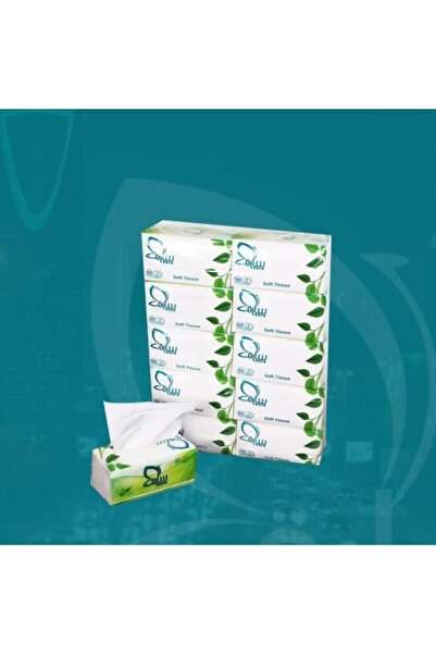 SARATIUSSES مناديل سارة الفاخرة الناعمة - 600 منديل في 10 علب