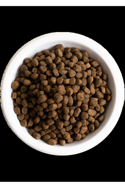 Open Farm طعام جاف للكلاب بنكهة سمك أبيض موسمي، خالٍ من الحبوب - 4.98 كجم