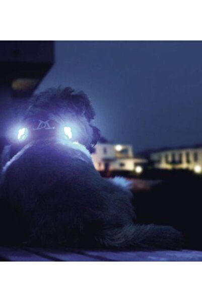 Curli مصابيح أمان LED من لومي - أحمر