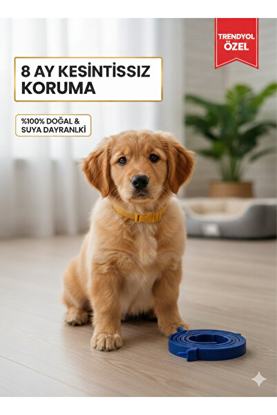 HOOFSANDPAWSVET Bit Pire Tasması
