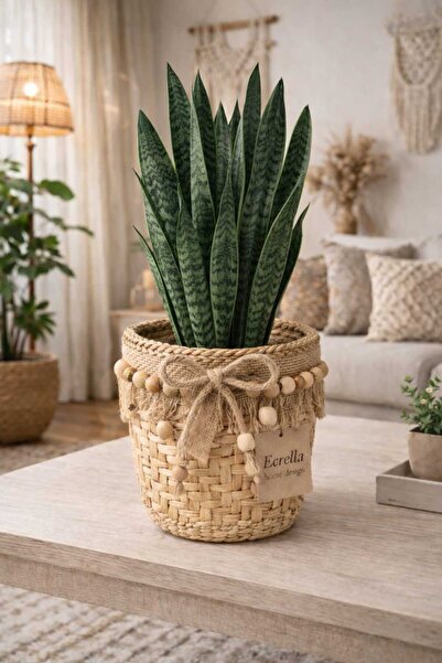 ecrella Hasır Saksı Sepet Modeli Çiçek Saksı Jüt Kurdeleli, Ahşap Boncuk Deta...