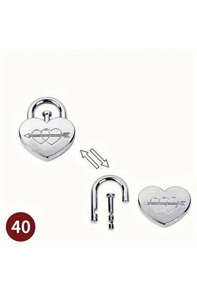 Choice9 40 لعبة ألغاز معدنية كلاسيكية فكرية، لعبة تعليمية صعبة لعيد الميلاد و...