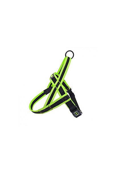 Doco حزام المشي الشبكي من أثليتيكا سيتي ووكر (DCA207) [المقاس - كبير، اللون -...