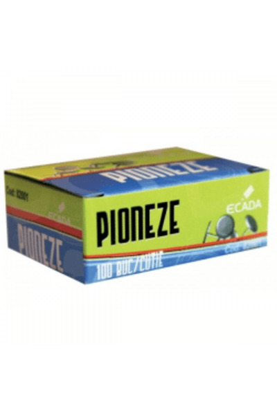 Ecada Nickel push pins 100pcs/box