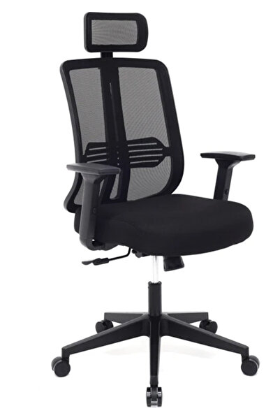 furnira Pronova Black Ergonomik Ofis Sandalyesi | Bel Destekli Fileli Çalışma...