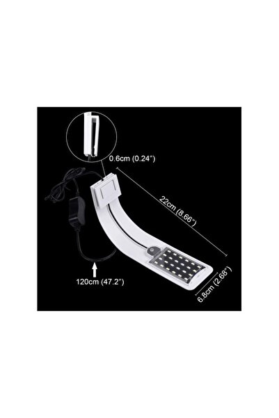 Roxin LED Top Light-10W-White & Blue Light[Color - White, Power - 10W]