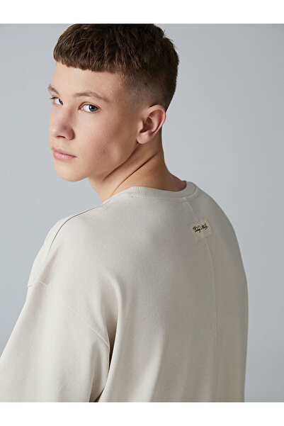 LC Waikiki Beige Crew Neck Basic Young Men's T-Shirt