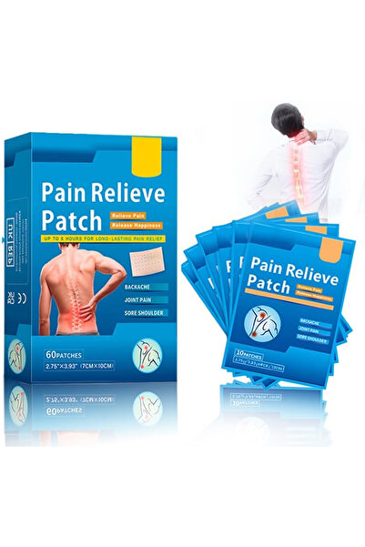 Arabest Pain Patches Heat Patches Larger Size 60 PCS, Pain Plaster 12 Hours L...