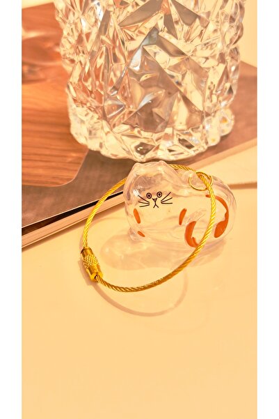 MAHLA Cat Hair Filling Keychain - Cat Hair Storage Keychain - Transparent Key...