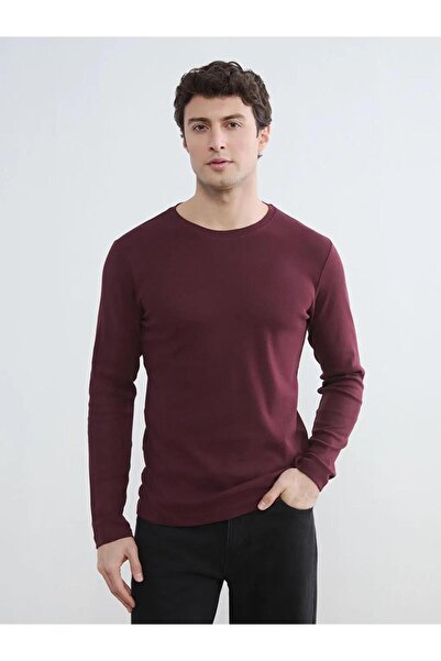 LC Waikiki Ανδρικό μπλουζάκι με μακρύ μανίκι και λαιμόκοψη ποδηλάτου (S6)