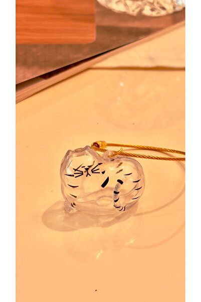 MAHLA Cat Hair Filling Keychain - Cat Hair Storage Keychain - Transparent Key...