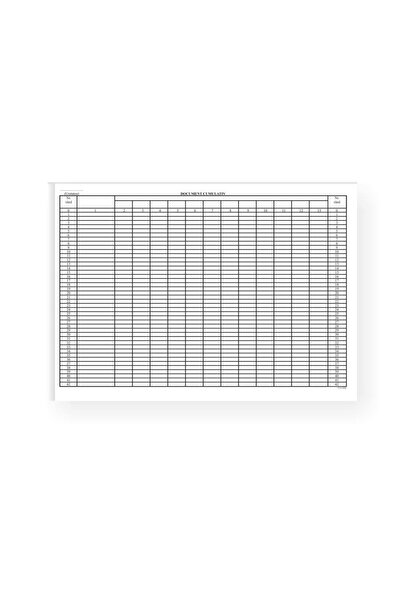 DanyCris Document cumulativ A2