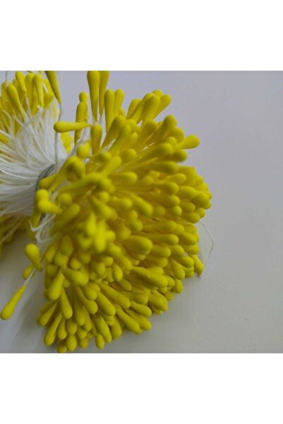 Mutkin Yapay Çiçek Tohumu(ERCİK)-Yapay Çiçek Yapımı İçin Stamens-500 adet -SA...