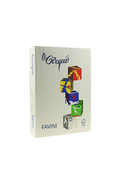 Favini Carton Color 160G/MP A4 Gri - (109)