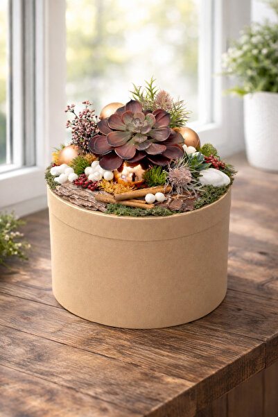 Derin Düşler Özel Tasarım Mini Bahçe Sukulent Kapaklı Şık Lüks Doğum Günü Ann...