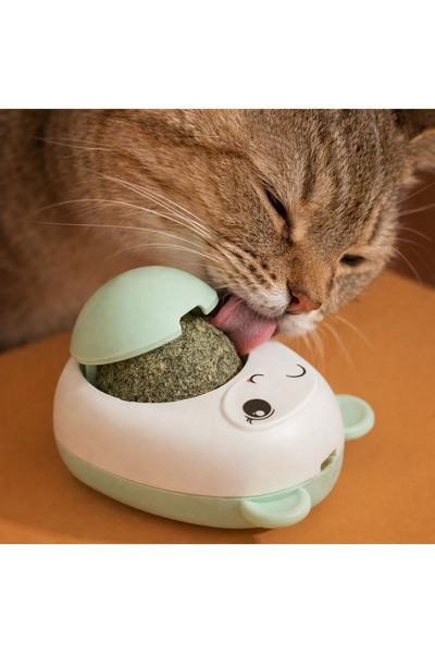 PAWNEST Set of 2 Catnip Cat Licking Toys with Teddy Bears – Rotating Wall-Mou...