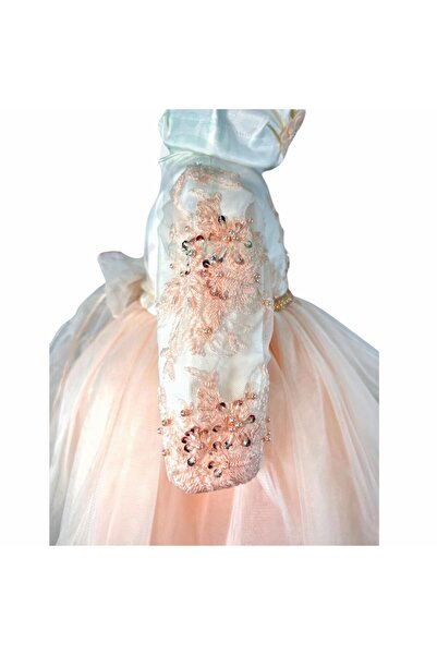 trendyhome Baby girl baptism dress