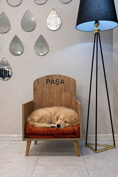 HAS CRAFT Köpek ve kedi Oturağı – Ahşap Ayaklı, Minderli, Dayanıklı Tasarım