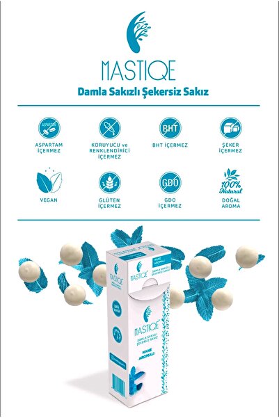 Mastiqe Nane Aromalı Sakız 20g