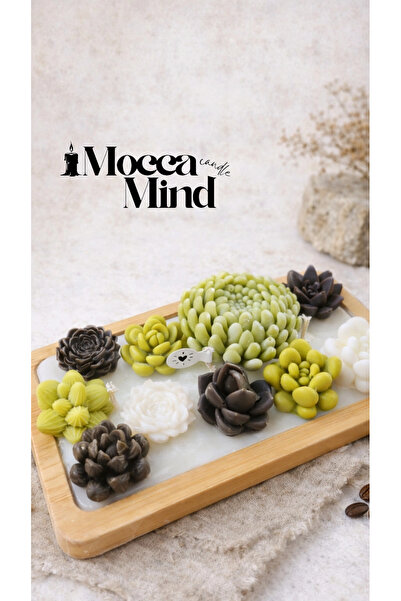 Candle Mocca mind "sukulent bowl"