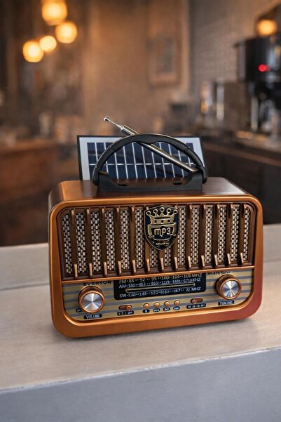 Everton RT 878 USB AM-SW-FM BLUETOOTH PANELLİ NOSTALJİ RADYO