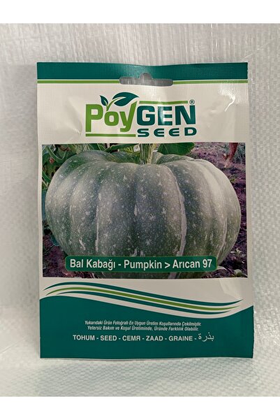 POYGEN Arıcan 97 Bal Kabağı Tohumu (10 gram)– İri Tatlı Beyaz Kabuklu 8-15 Kg...