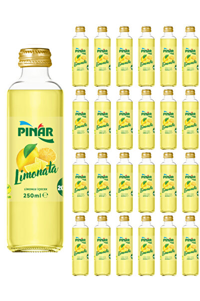 Pınar CAM LİMONATA 250 ML X 24 ADET