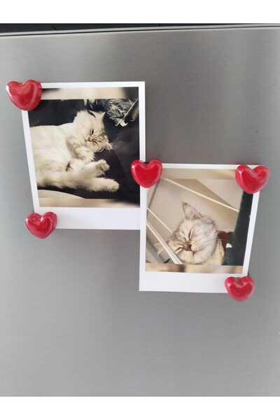 MD Design 5'li Kalpli Magnet Seti – Fotoğraf ve Not Tutucu, Buzdolabı Süsü, G...