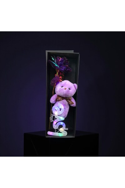 Masalsı Concept Led Işıklı Gül ve Peluş Ayıcık Seti | Özel Sunum Konsept Hedi...