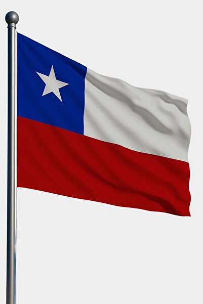 MODA Şili 50x75 Raşel Kumaş Gönder Bayrağı