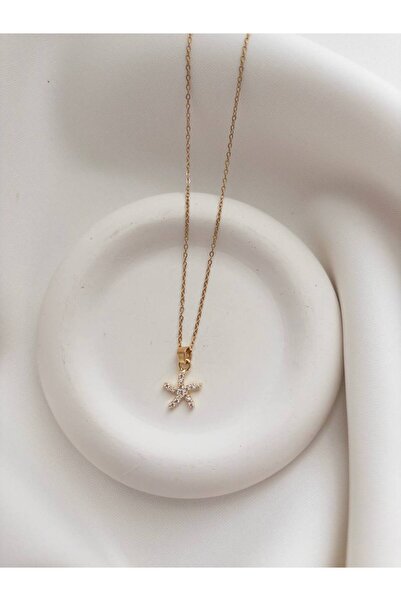 Minne Jewelry-Accessory قلادة على شكل نجم البحر - سلسلة فولاذية على شكل نجم ا...