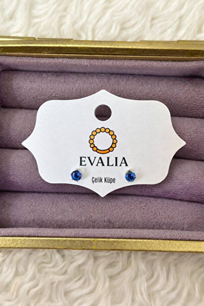 Evalia Takı Kadın Şık Lacivert Tek Taş Paslanmaz Çelik Küpe