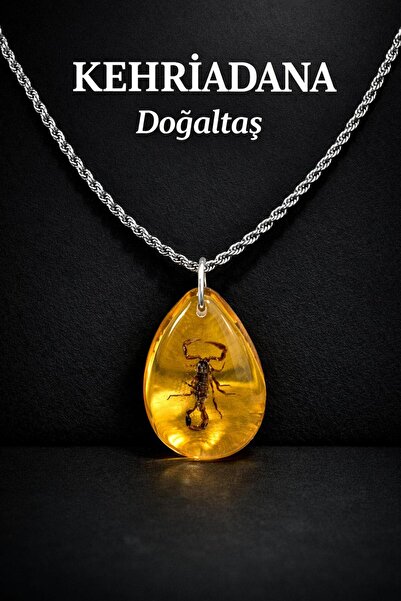 KEHRİADANA TESBİHCİLİK KEHRİADANA TESBİHÇİLİK ÖZEL TASARIM akrep FOSİL DOĞAL ...