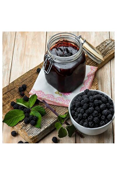 Darende Kayısı Dünyası Ev Yapımı Karadut Pekmezi 1 Kg – %100 Doğal