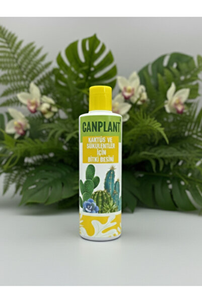 CANPLANT KAKTÜS VE SUKULENTLER İÇİN BİTKİ BESİNİ