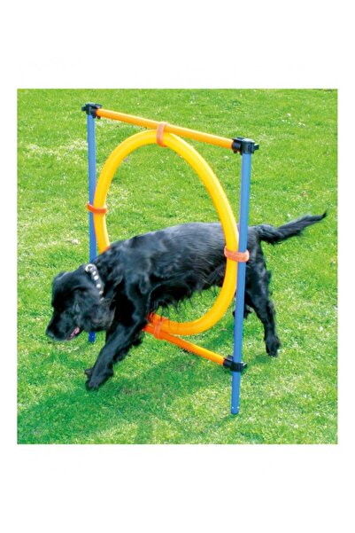 Paw Pals حلقة تدريب الكلاب باوبالز أغلت 117×10×10 سم