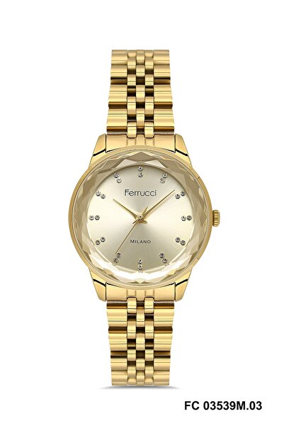 Ferrucci Women's Wristwatch Fc022503539M.01640003